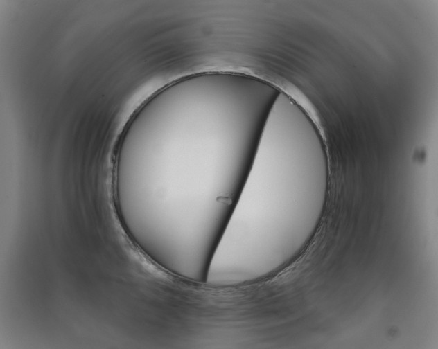 X0000091571096200708200945