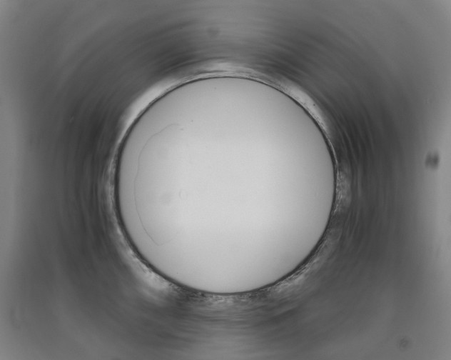 X0000091571098200708200945