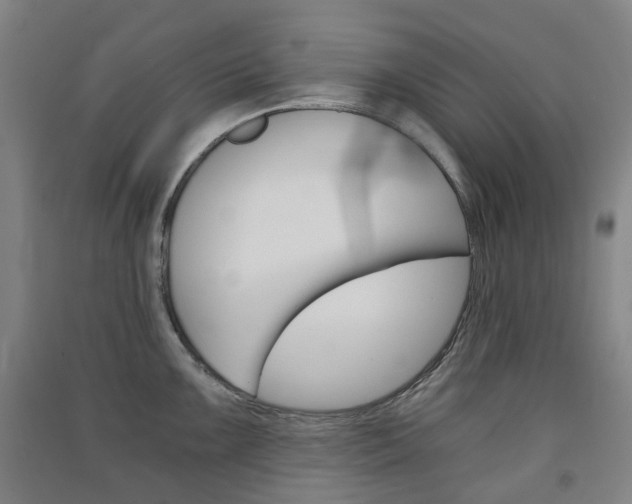 X0000091571099200708200945