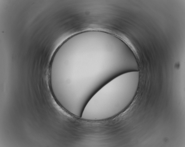 X0000091571100200708200945
