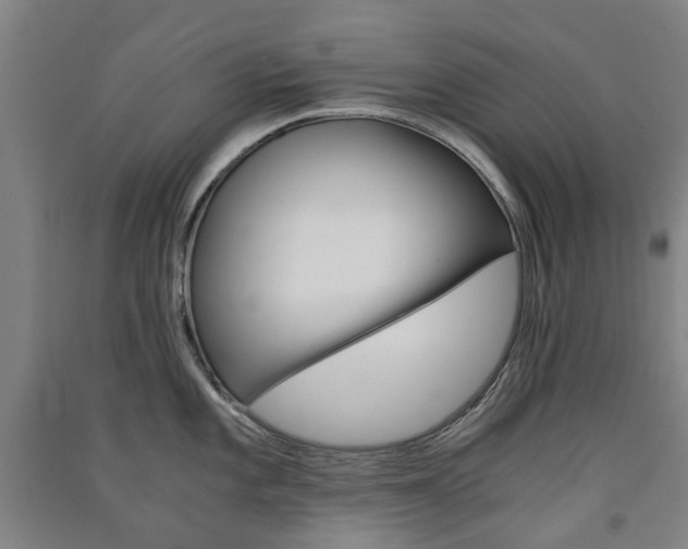 X0000091571101200708200945