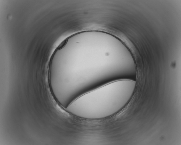 X0000091571102200708200945
