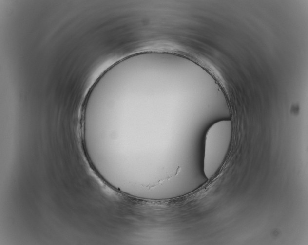 X0000091571103200708200945