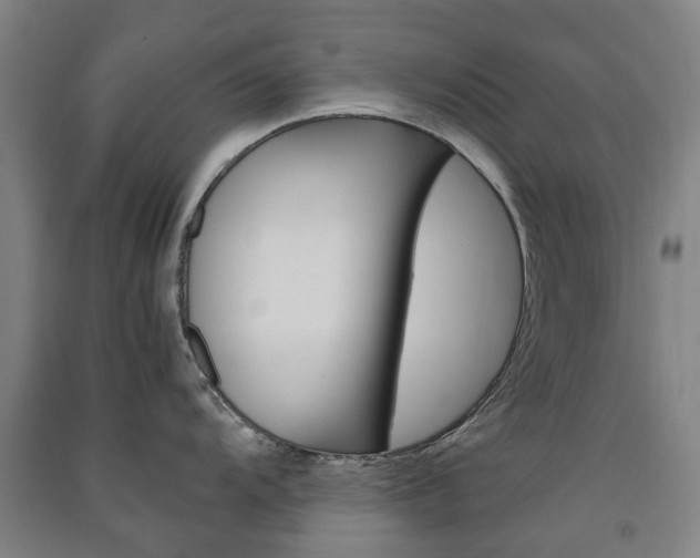 X0000091571104200708200945