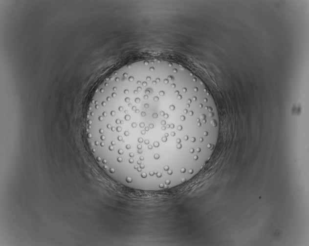 X0000091571105200708200944