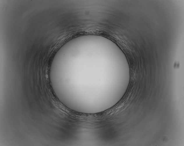 X0000091571106200708200945