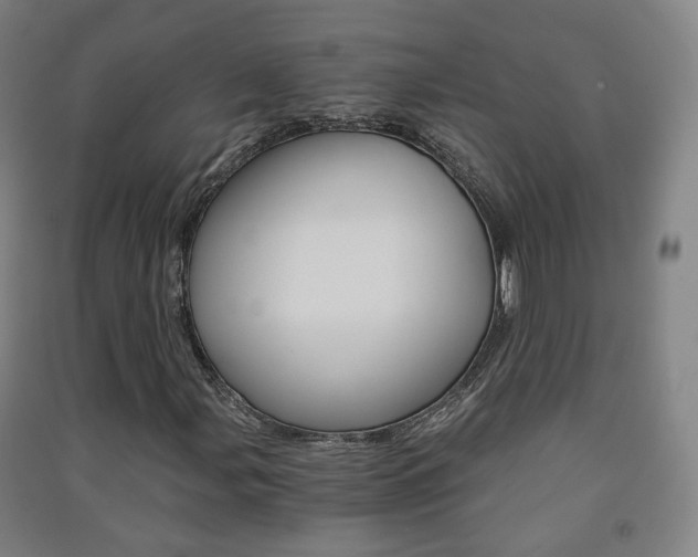 X0000091571107200708200945