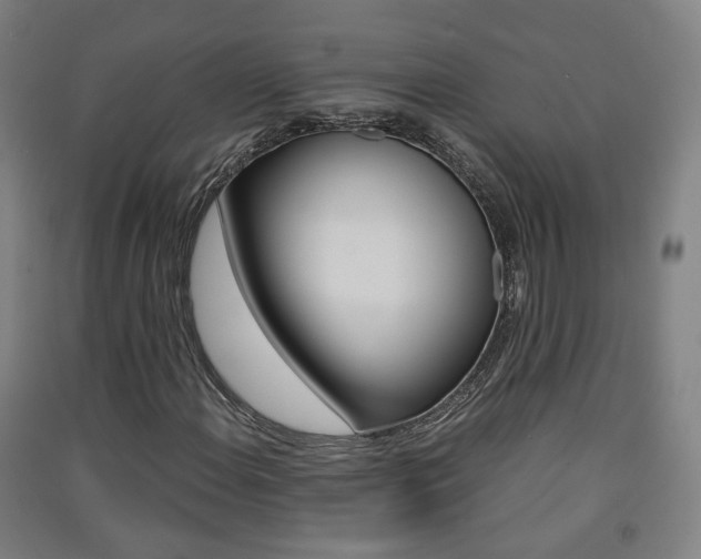 X0000091571108200708200945