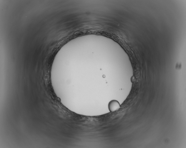 X0000091571109200708200945