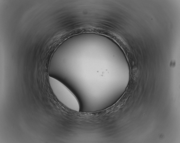 X0000091571111200708200945