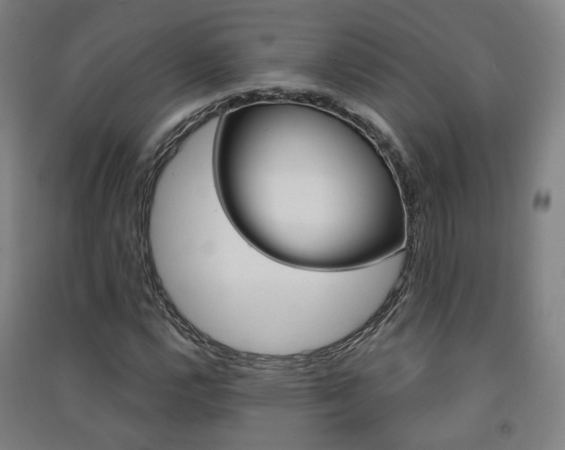 X0000091571112200708200945