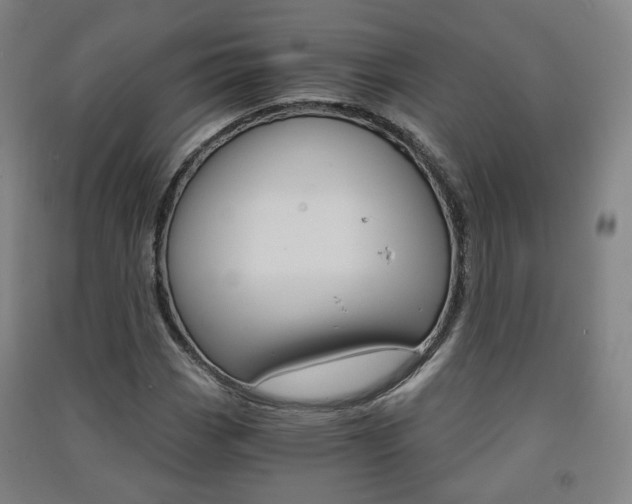 X0000091571113200708200945