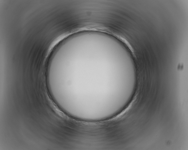 X0000091571114200708200945