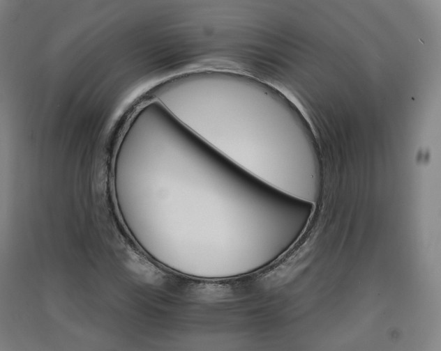 X0000091571115200708200945