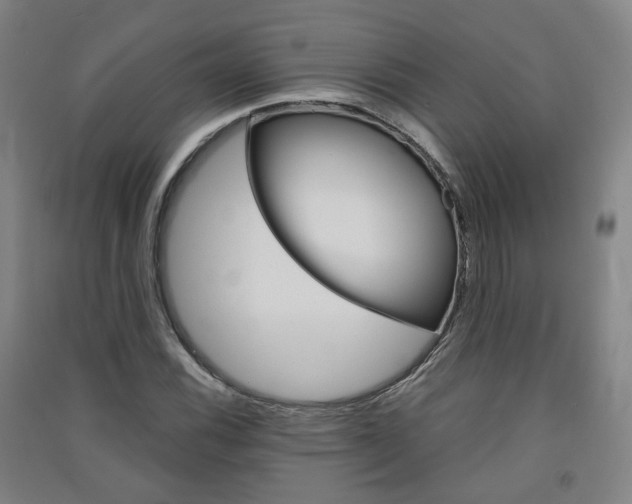 X0000091571116200708200945