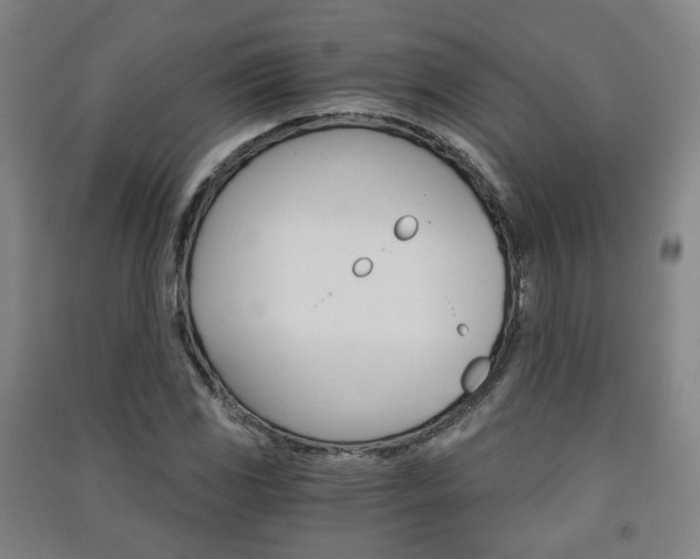 X0000091571117200708200945