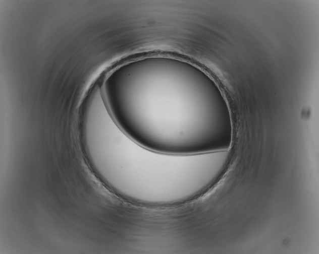 X0000091571118200708200945