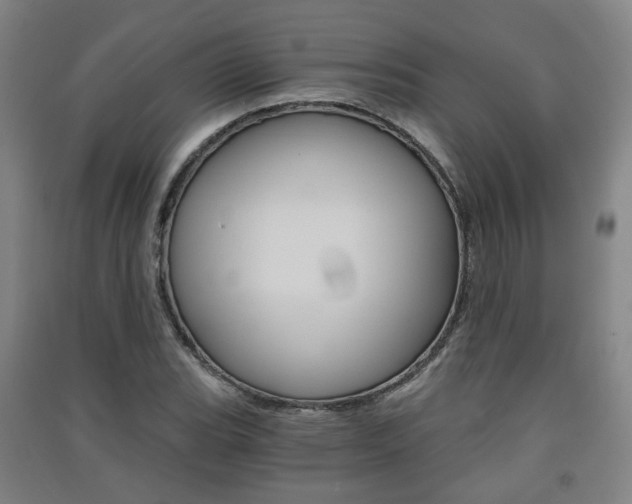 X0000091571119200708200945