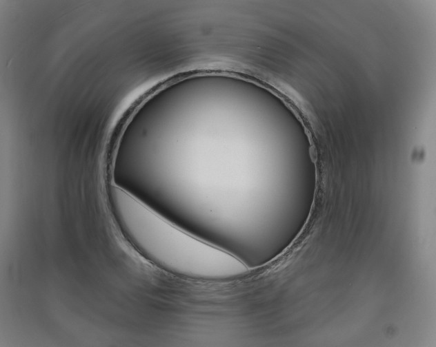 X0000091571120200708200945