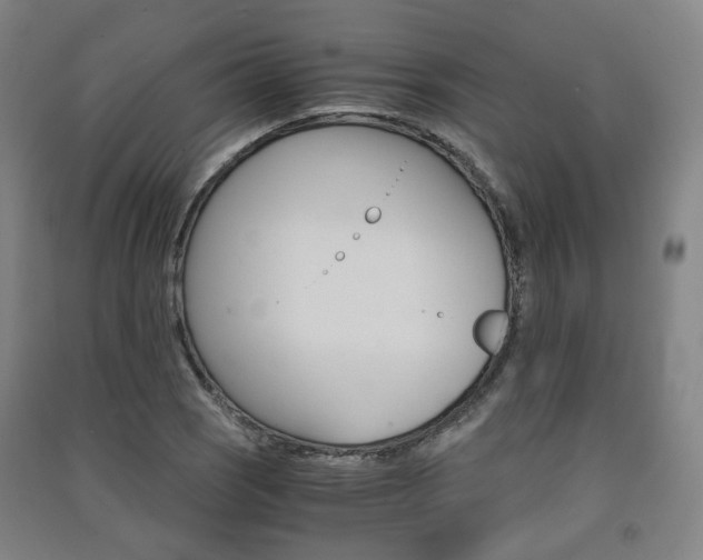 X0000091571121200708200945