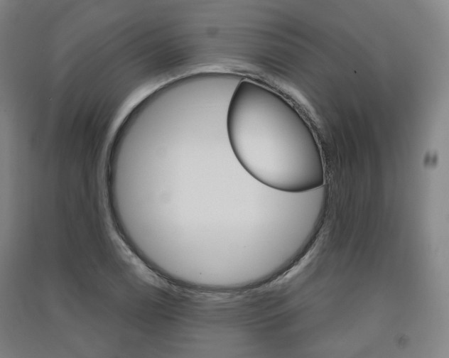 X0000091571122200708200945