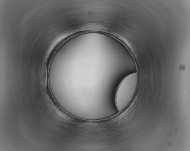 X0000091571123200708200945