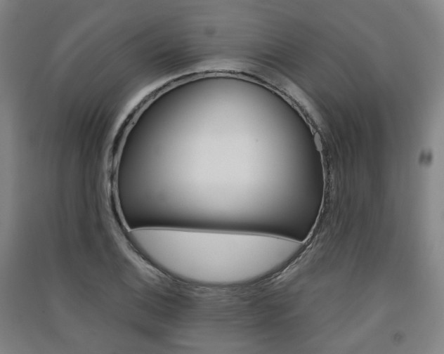 X0000091571124200708200945