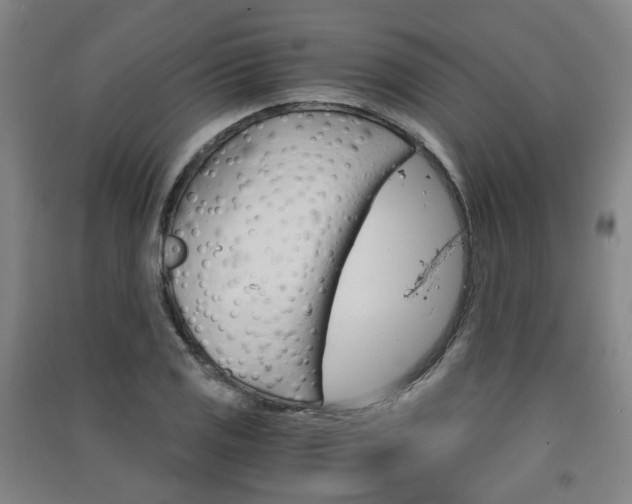 X0000091571125200708200945