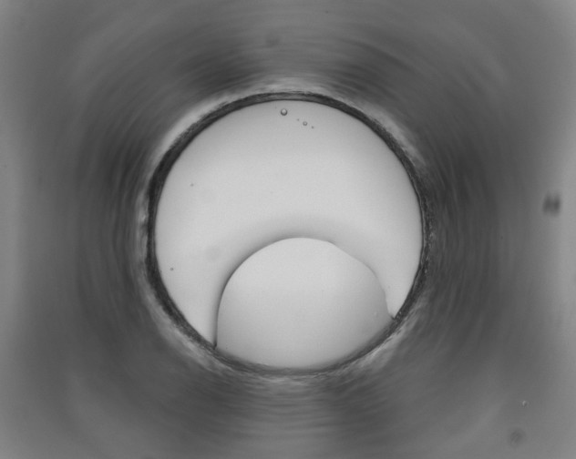 X0000091571126200708200945
