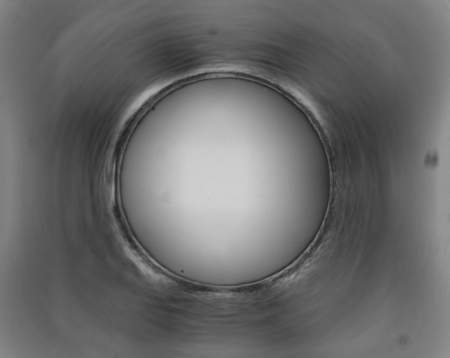 X0000091571127200708200945