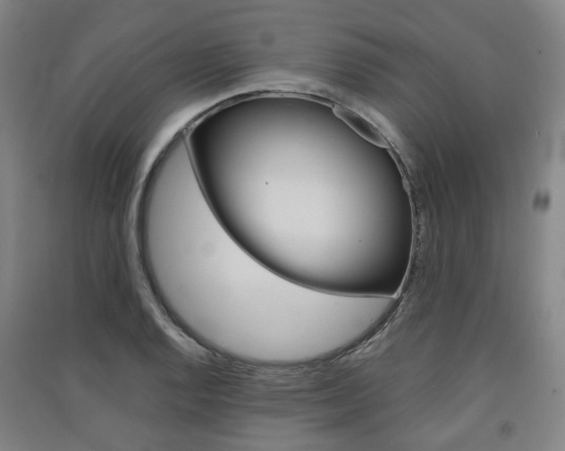 X0000091571128200708200945