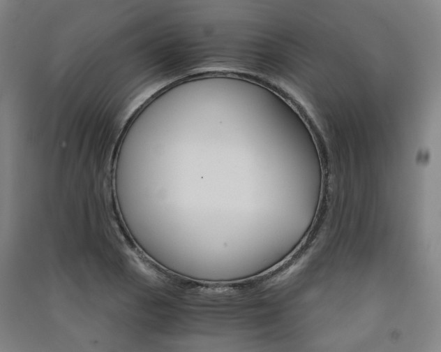 X0000091571129200708200945