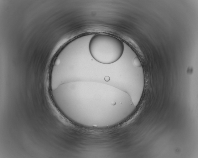 X0000091571130200708200945
