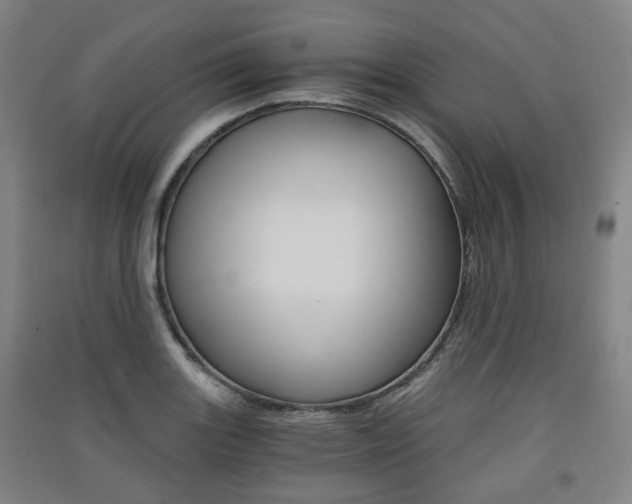 X0000091571131200708200945
