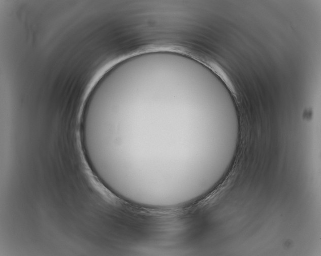 X0000091571132200708200945