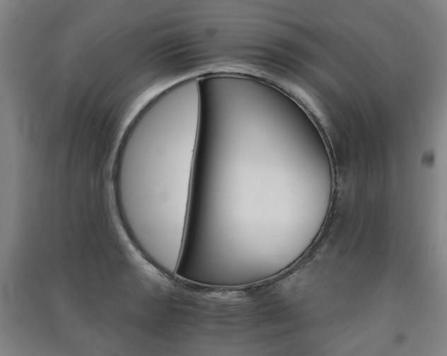 X0000091571133200708200945