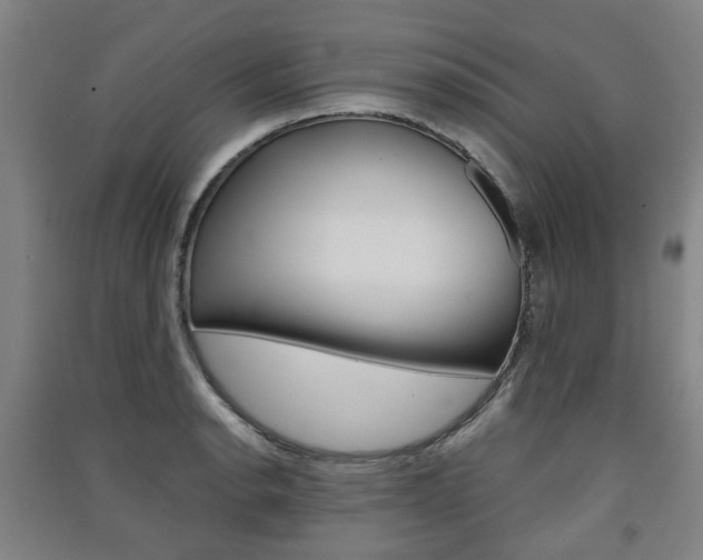 X0000091571134200708200945