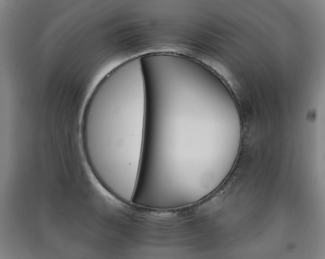 X0000091571135200708200945