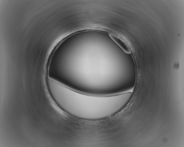 X0000091571136200708200945