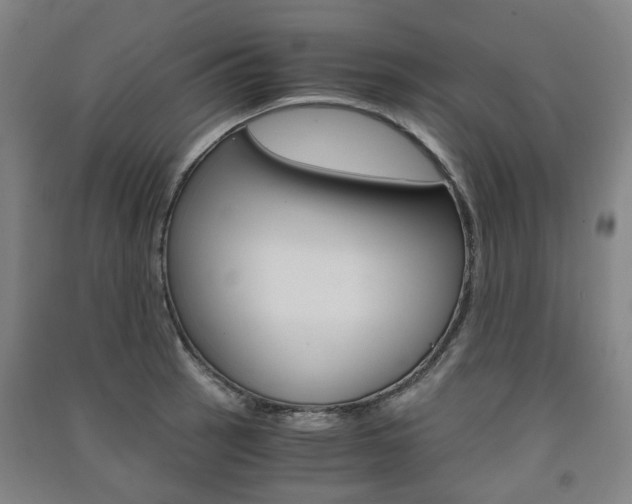 X0000091571137200708200945