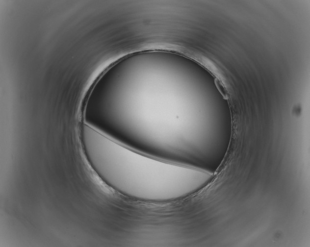X0000091571140200708200945