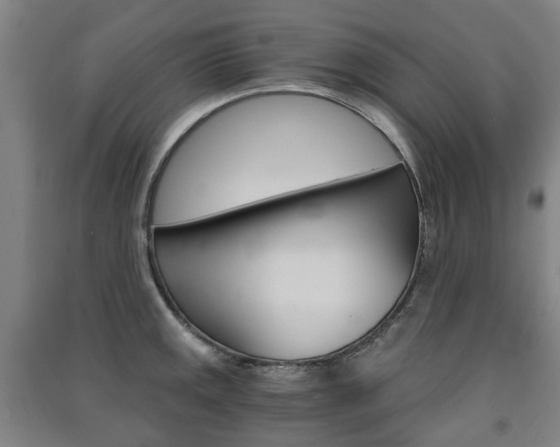 X0000091571141200708200945
