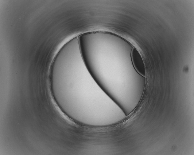 X0000091571142200708200945