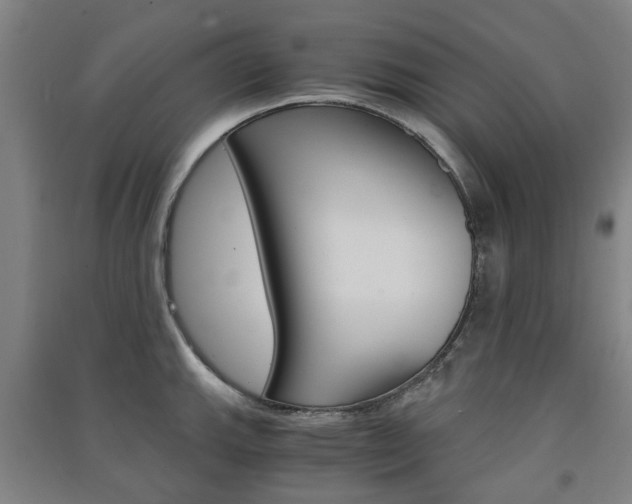 X0000091571143200708200945
