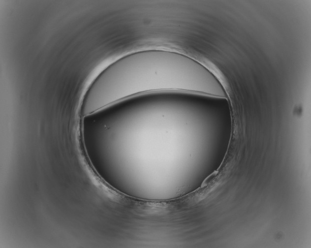 X0000091571144200708200945