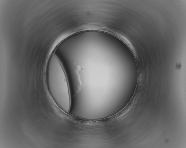 X0000091571146200708200945