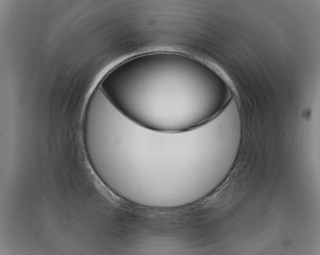 X0000091571148200708200945