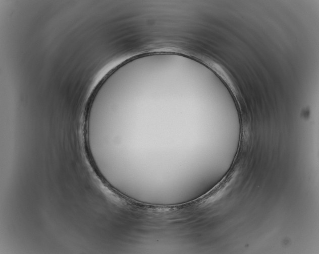 X0000091571149200708200945