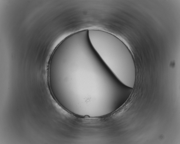 X0000091571151200708200945
