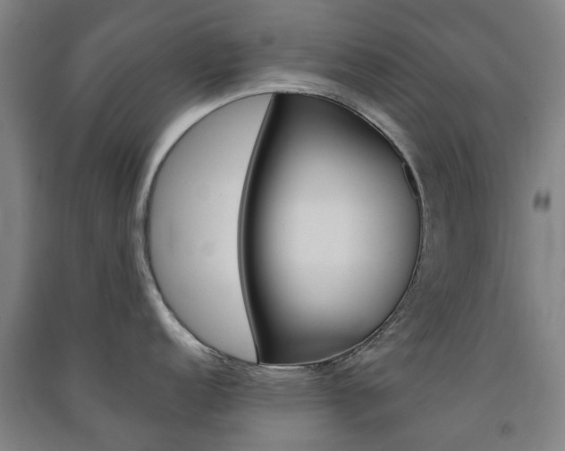 X0000091571152200708200945